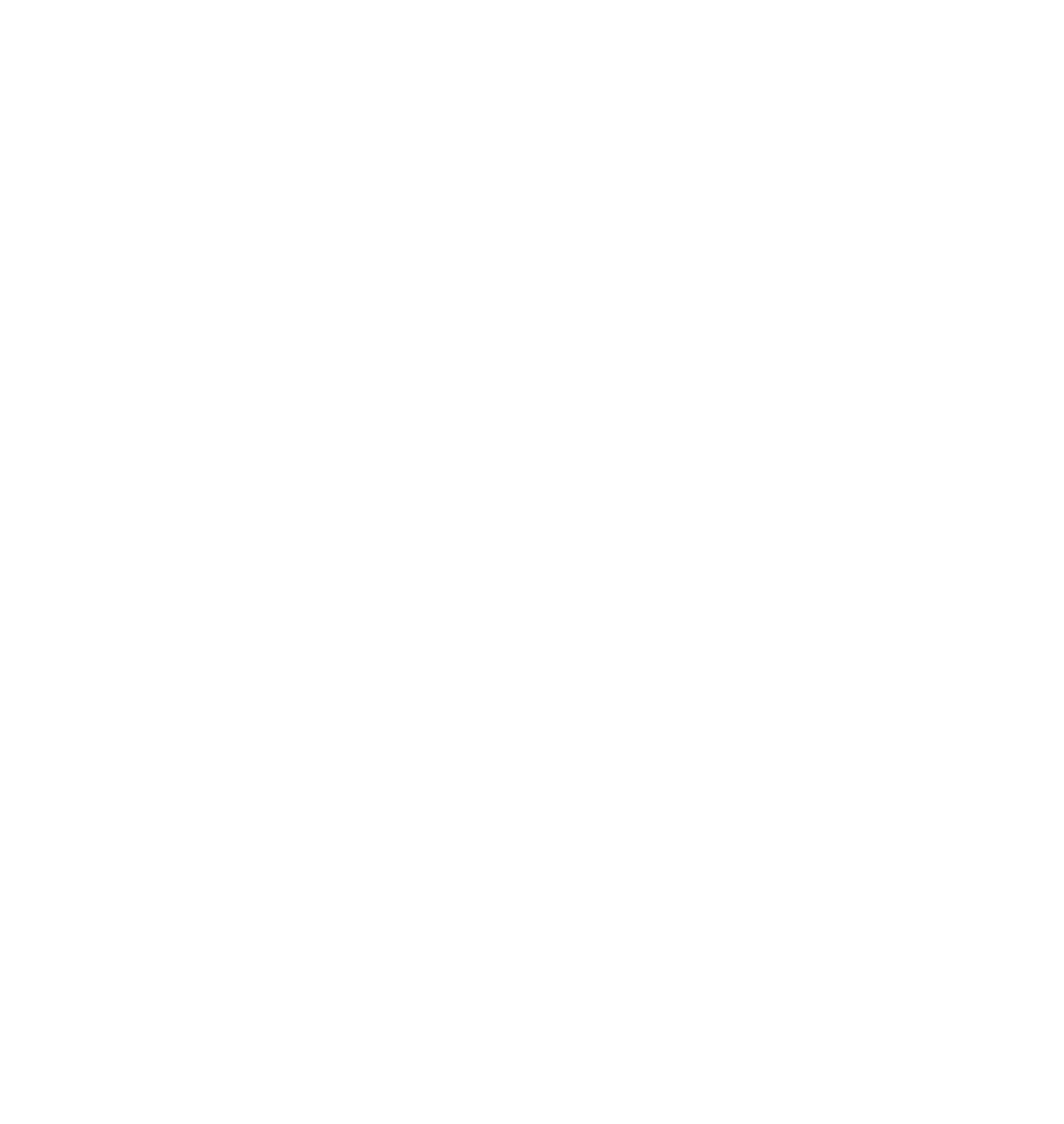 Spitzer Gesellschaft m.b.H.